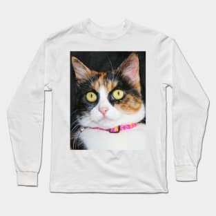 A beautiful kitten Long Sleeve T-Shirt